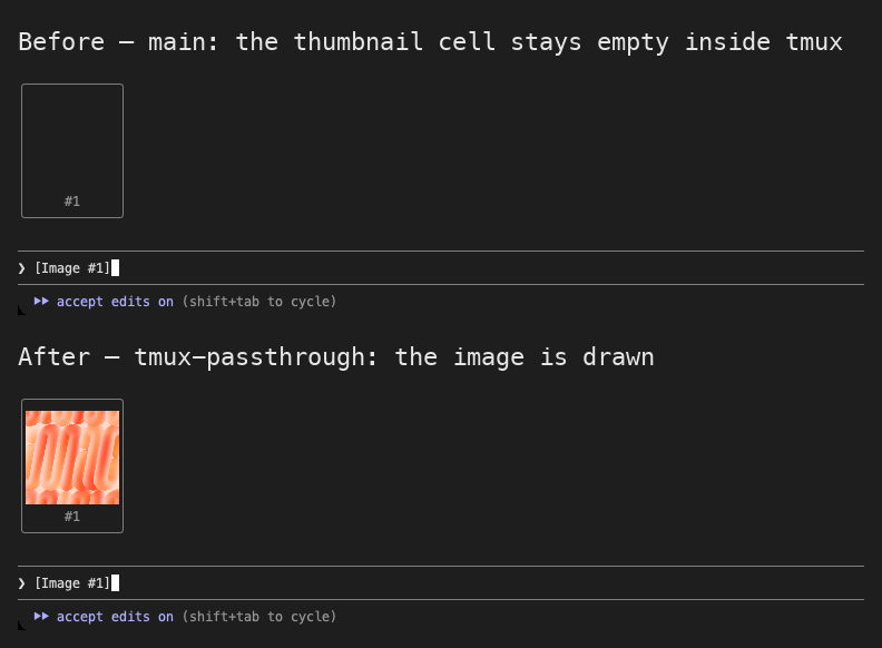 Images in tmux: the original blank space above, the fixed version below