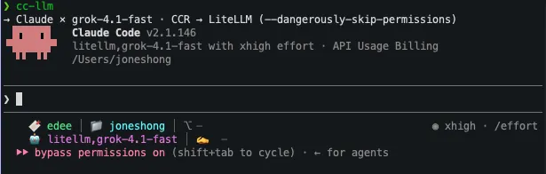 statusline after cc-llm starts